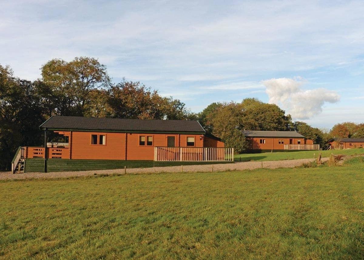 Mill Meadow Lodges Llanbister Eksteriør billede