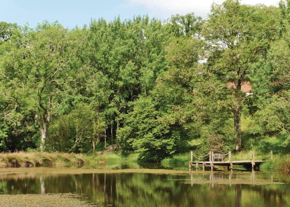 Mill Meadow Lodges Llanbister Eksteriør billede